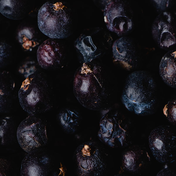 Soul Space - Coming soon to Soul Space! What is a Lymphatic Drainage Treatment? - Juniper Berry
