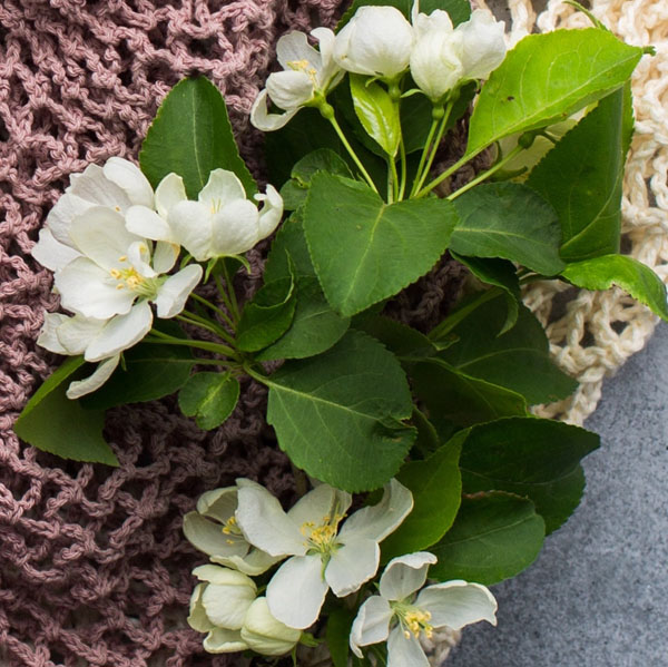 Soul Space - Essential Oils for the Nervous System - photo 09