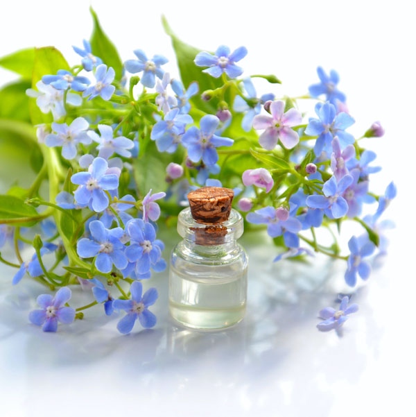 Soul Space - Essential Oils for the Nervous System - photo 13