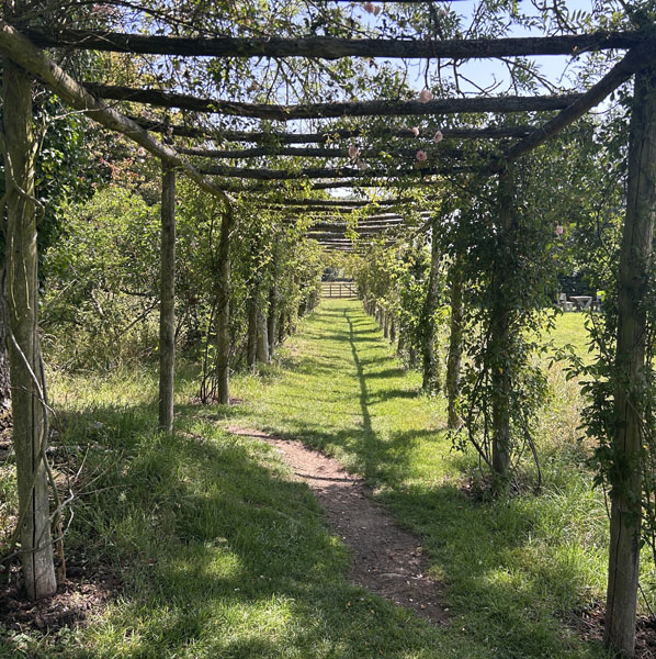 Soul Space - Making the Most of my National Trust Membership - Image 03