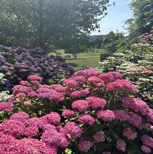 Soul Space - Making the Most of my National Trust Membership - Image 17
