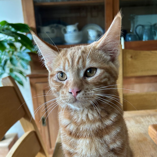 Soul Space - The Importance of Connection - Hurtwood