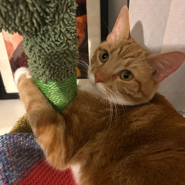 Soul Space - The Importance of Connection - Sign and jug